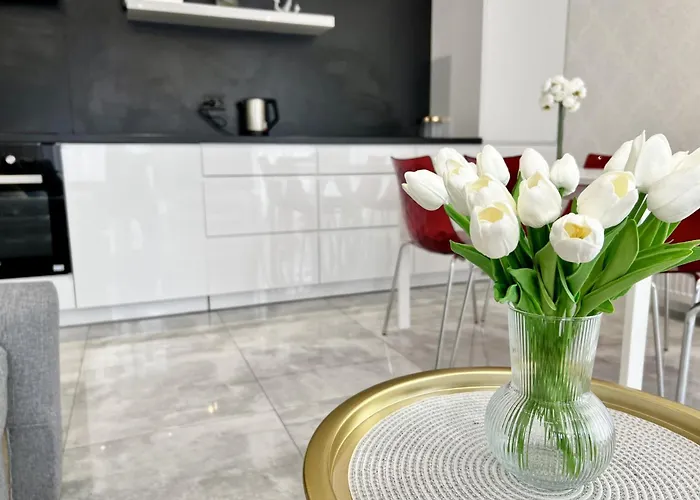 Premium Oldtown Yacht Marina