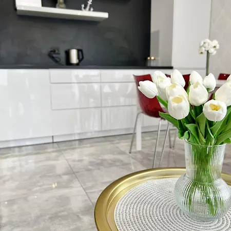 Premium Oldtown Yacht Marina